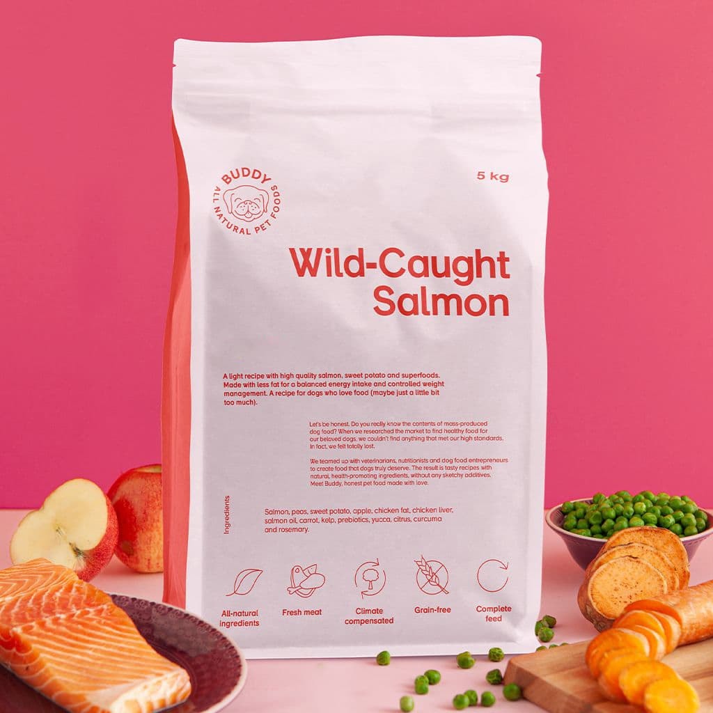 Wild-Caught Salmon 17kg