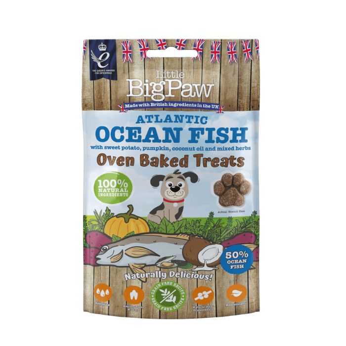 Atlantic Ocean Fish 130g