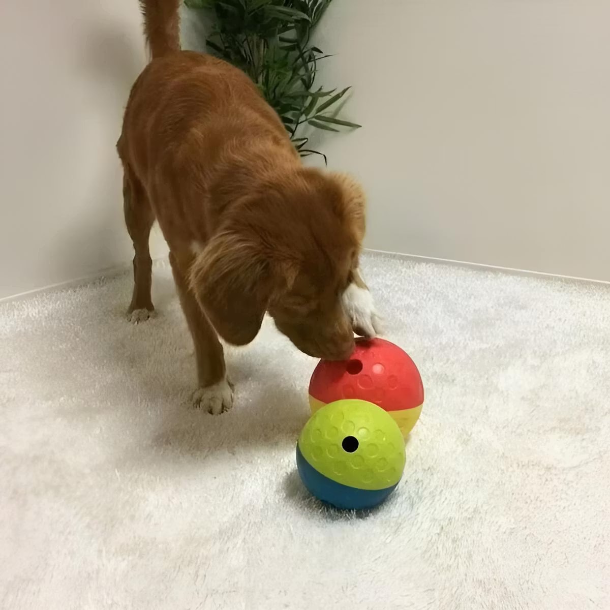 Nina Ottosson Aktiveringsleksak Tumble 1 Rosa L 13cm