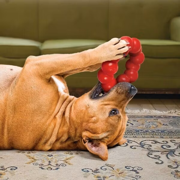 KONG Leksak Ring Classic Röd M/L 11cm