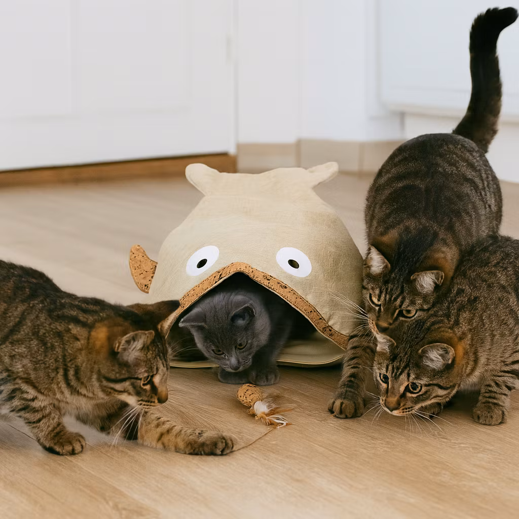 Kattleksak Lekpåse Natural Fisk Brun