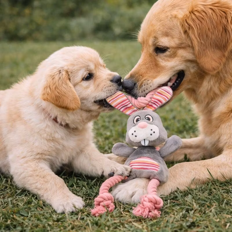 Leksak Rabbe Rep Grå