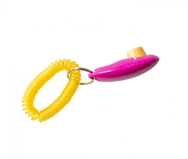 ACTIVE CANIS - Klicker med Spiralt Armband