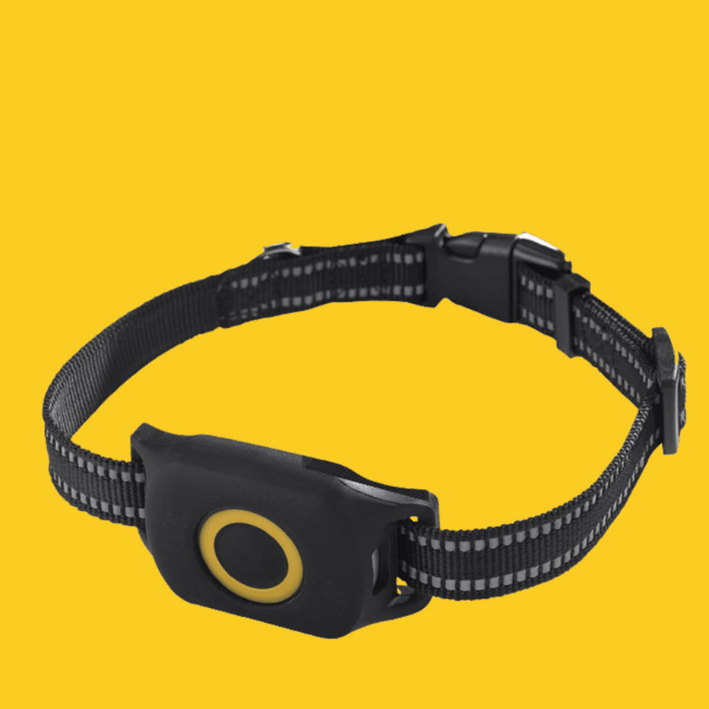 Hund GPS för Halsband - Spårare för Hund