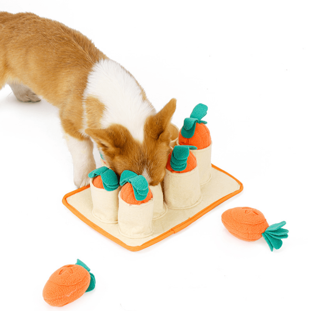 Aktivitetsleksak Snuffelmatta - Pipande Morötter med Matutrymme