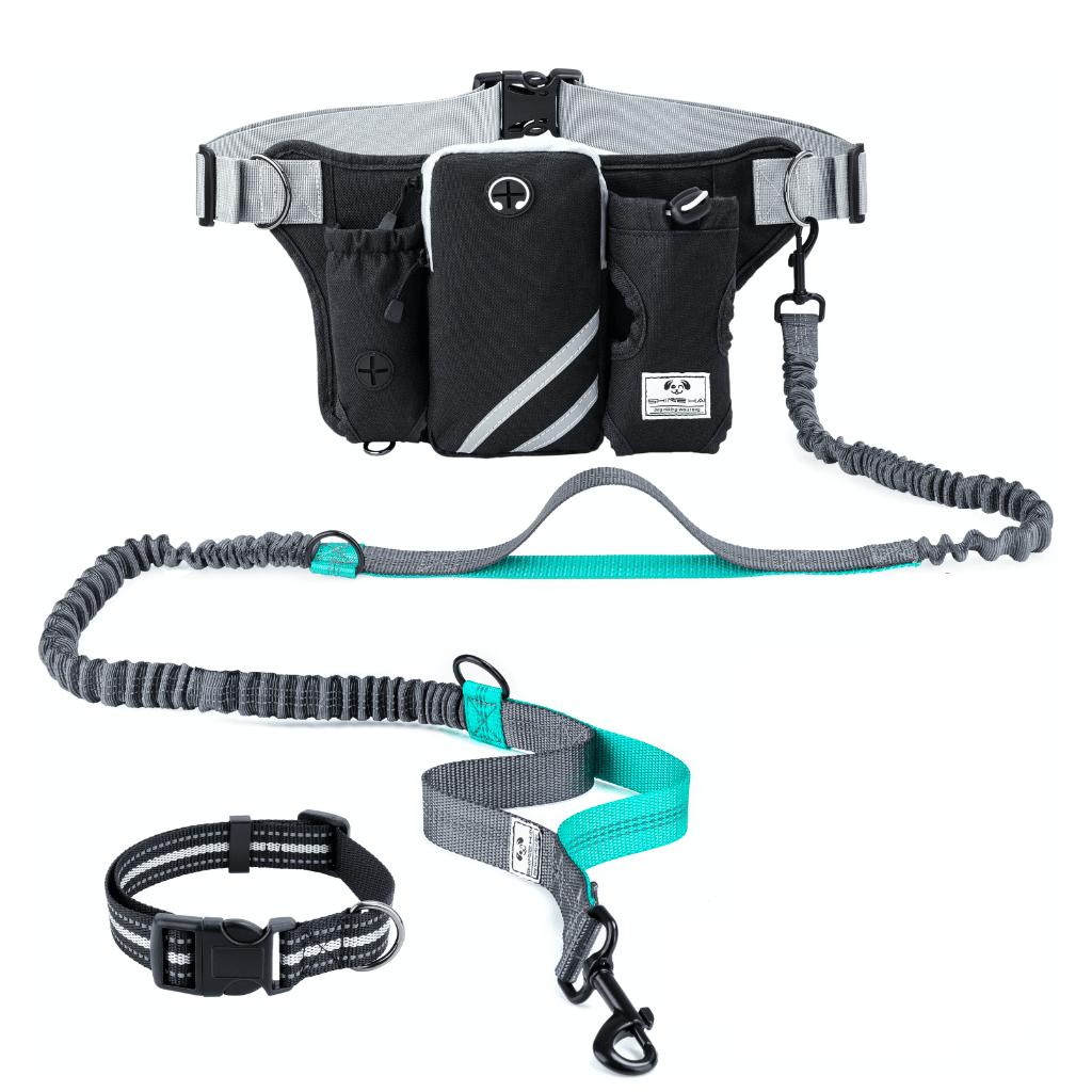 Joggingkoppel för Löpning med Hund – Vattentätt Midjebälte med Elastiskt Koppel & Halsband