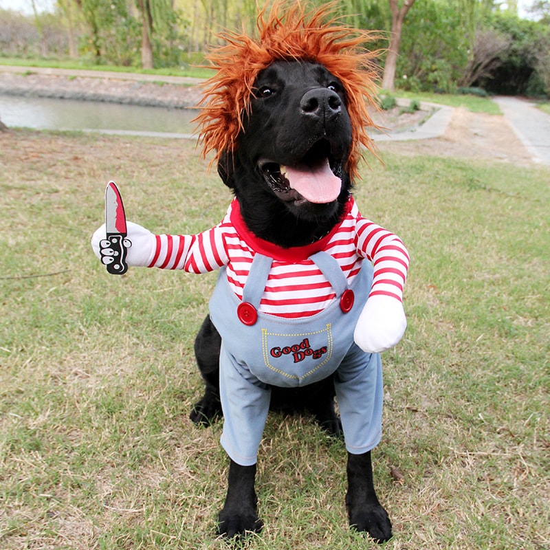 Chucky Docka Utklädnad för Hund Halloweenkostym Kniv - L