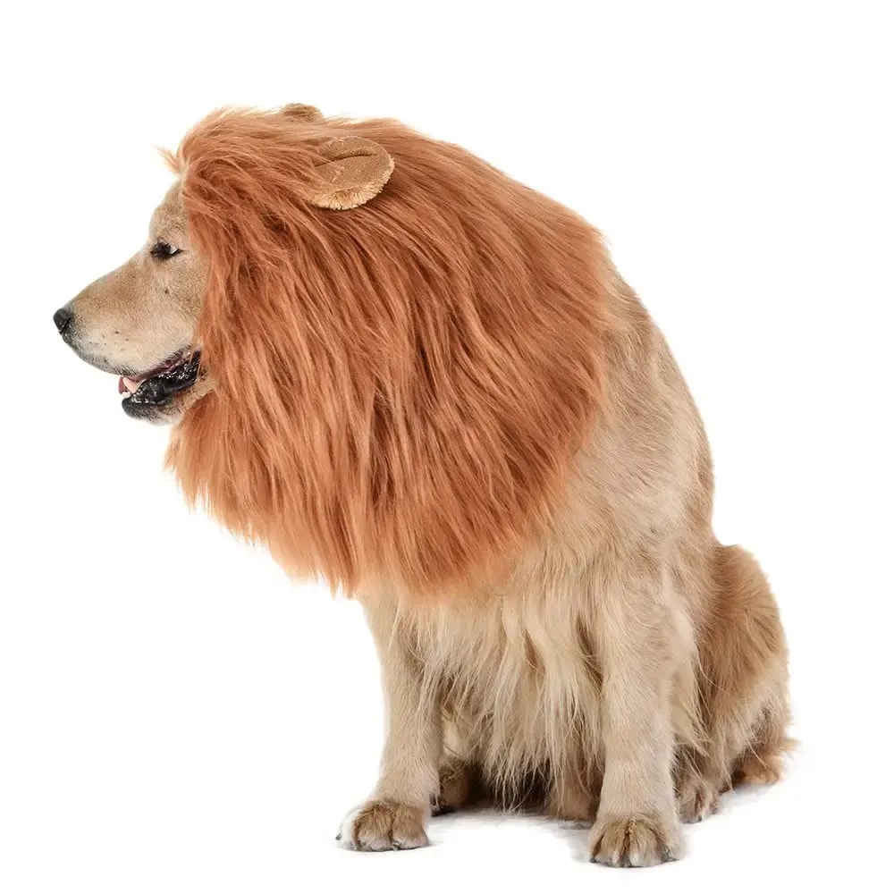 Lejonman för Hund – Förvandla Din Hund till ett Lejon för Maskerad och Halloween - L