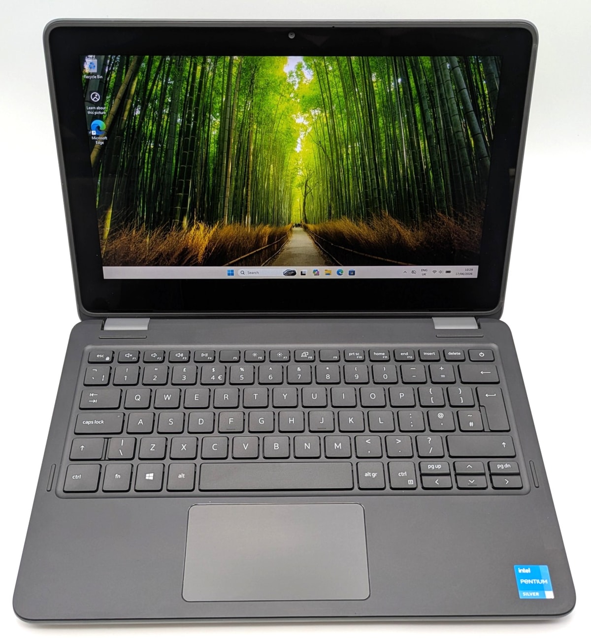 Dell Latitude 3120 **2-in-1 CONVERTIBLE** - 8GB RAM, 256GB SSD, Win 11 - grade B
