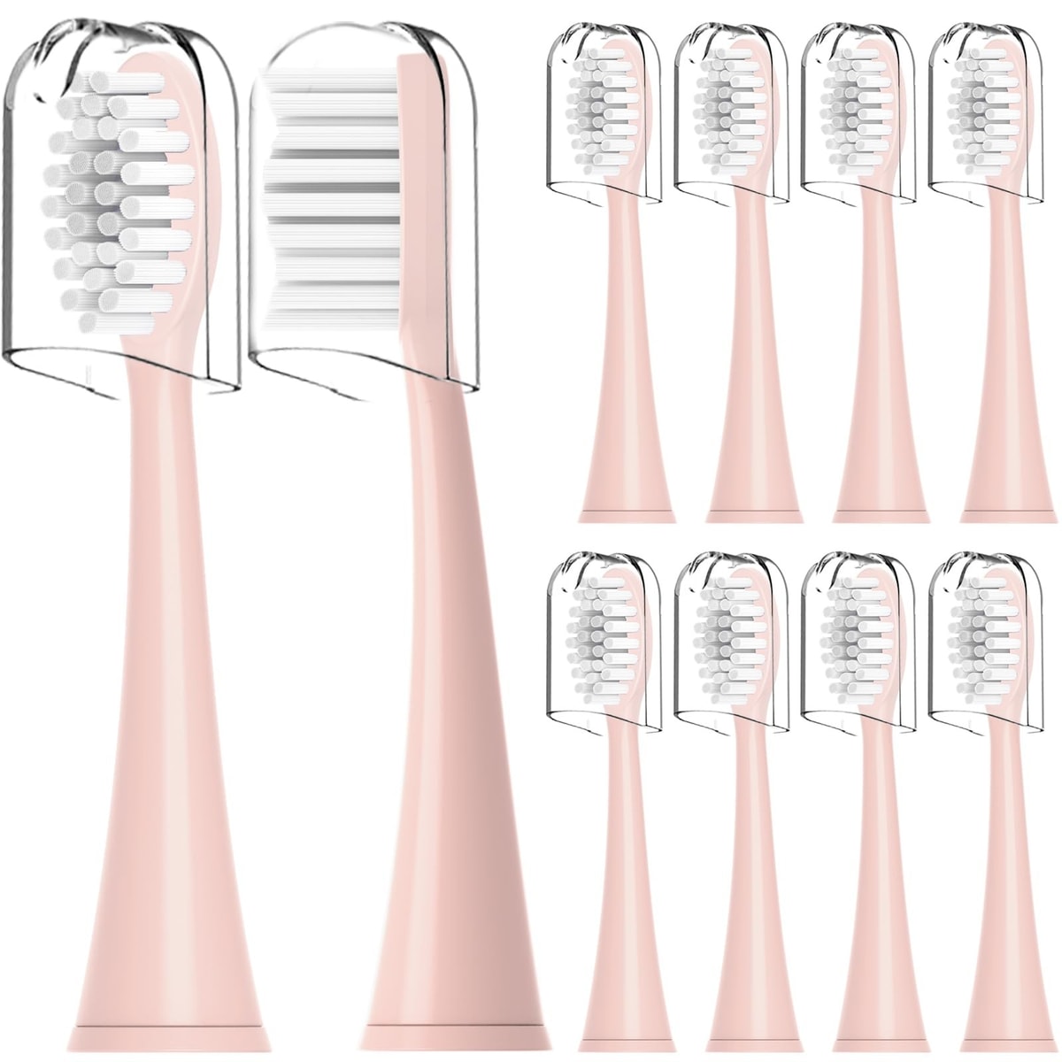 10 Pack Replacement Toothbrush Heads Ordo Sonic Electric Toothbrush with Cover