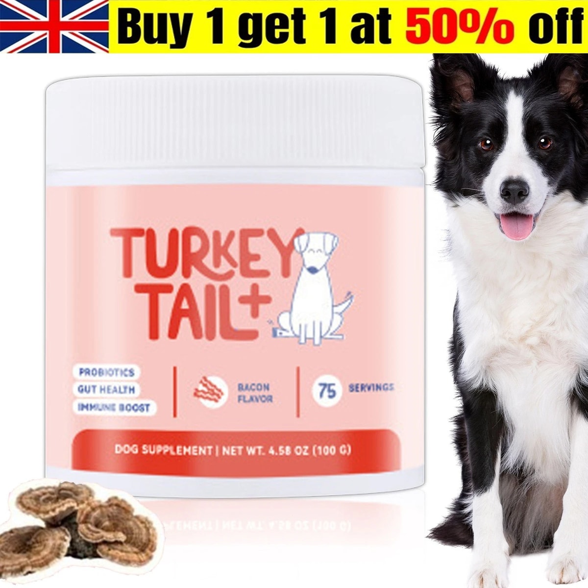 Turkey Tail Mushroom For Dogs - Dog Turkey Tail Probiotics Supplement