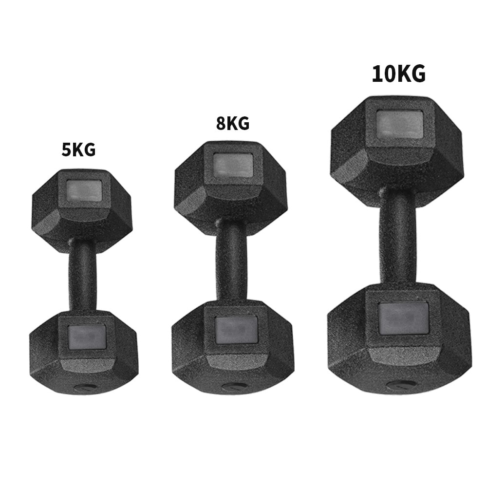 2x5kg/2x8kg/2x10kg Hex Dumbbells Weight Set 5 8 10KG Hand Home Exercise Workout