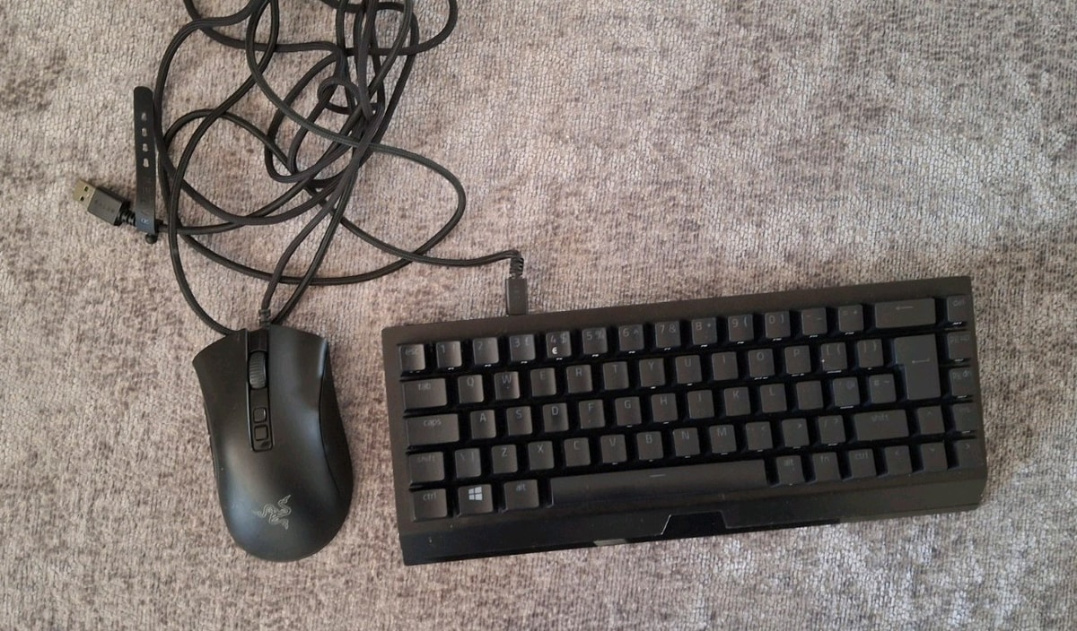 RAZER Deathadder V2 Pro Gaming Mouse With USB EXCELLENT CONDITION