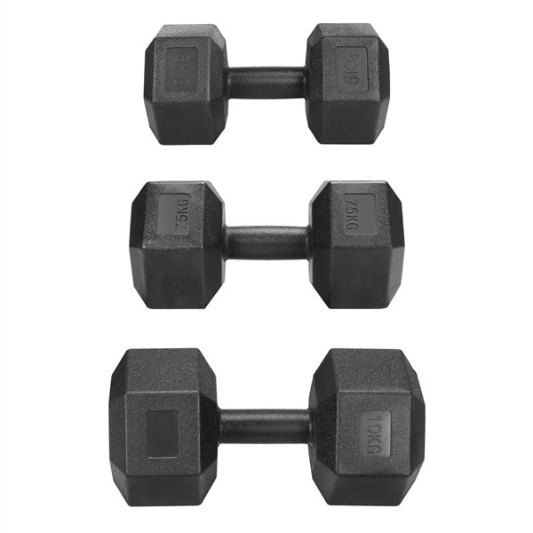 2x4kg/2x5kg/2x6kg/2x7.5kg/2x10kg Dumbbells Hex Dumbbell Weight Set Hand Weights