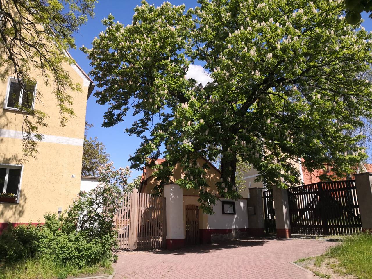 Hotell i Jesewitz från 35 kr per natt