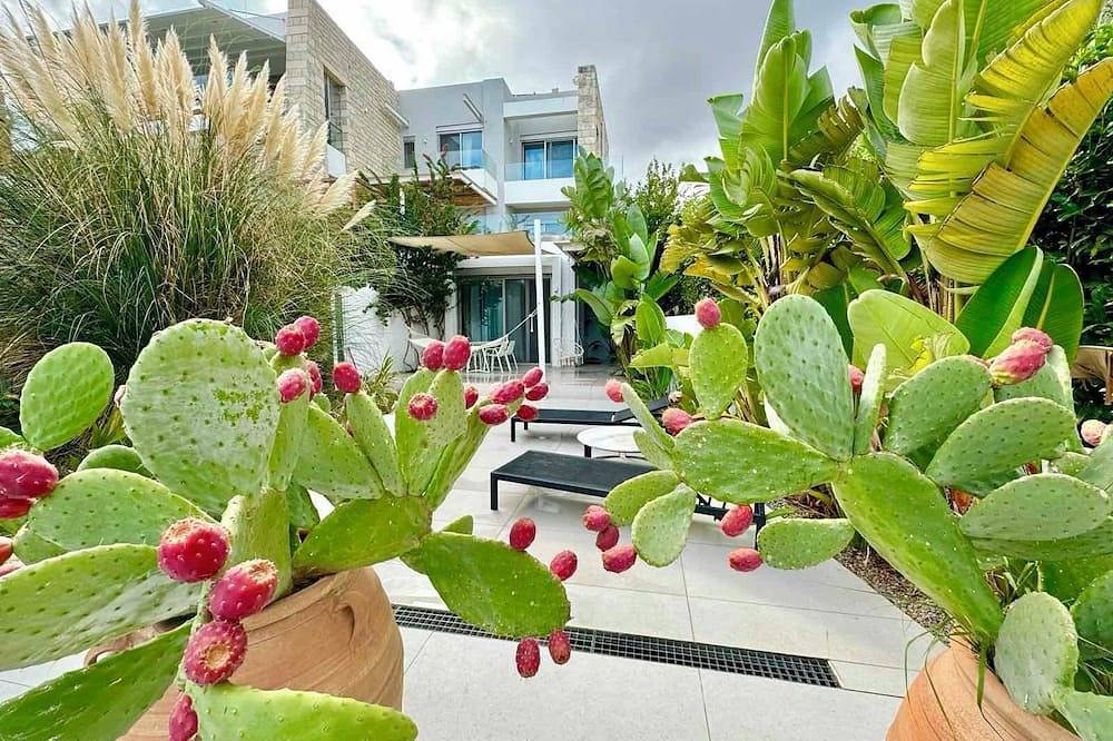 Hotell i Rethymno från 217 kr per natt