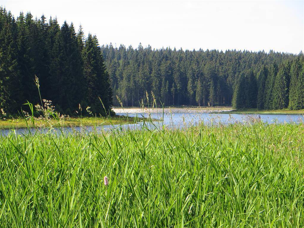 Hotell i Erzgebirge från 67 kr per natt