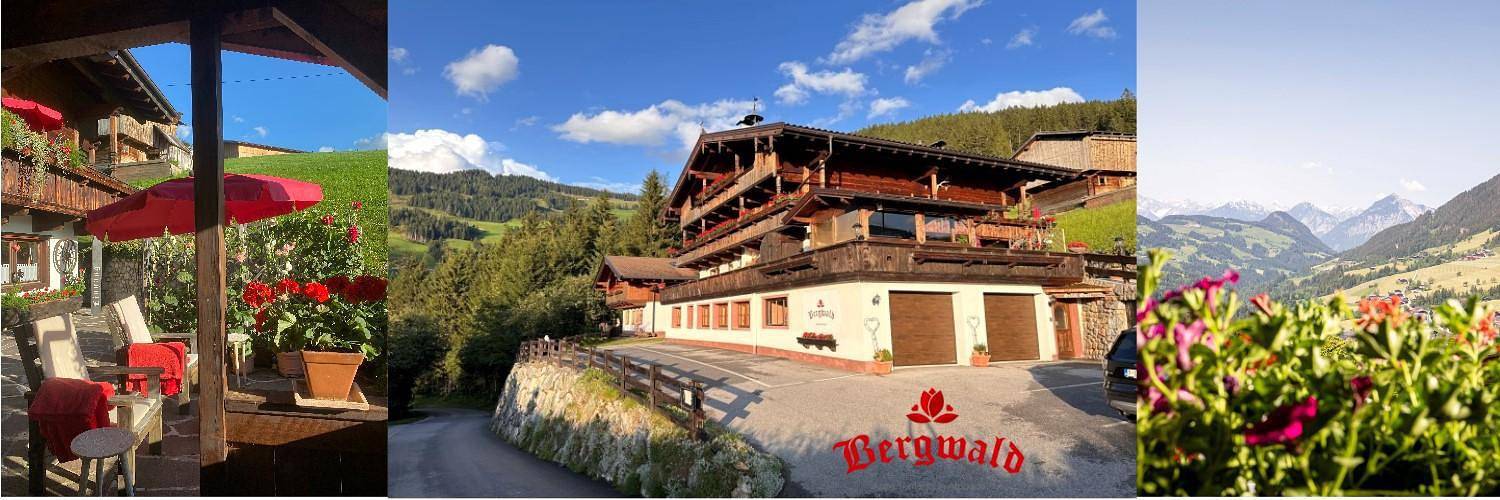 Hotell i Alpbach från 120 kr per natt