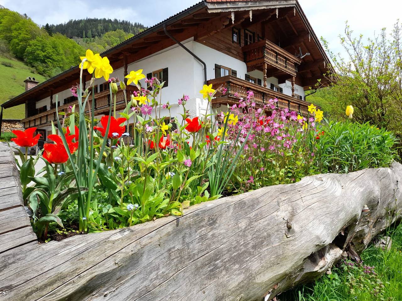 Hotell i Königssee från 88 kr per natt