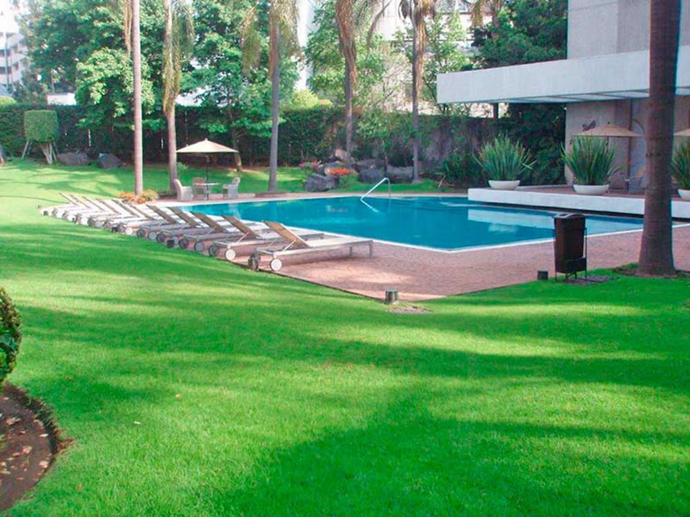 Coyoacán - Royal Pedregal