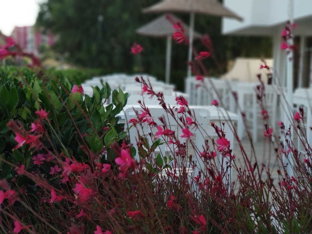 Göteborg - Çeşme - Cicek Apart Hotel