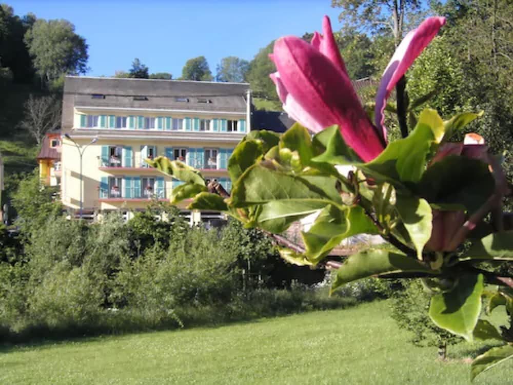 Orbey - Logis Hôtel - Restaurant Aux Bruyères