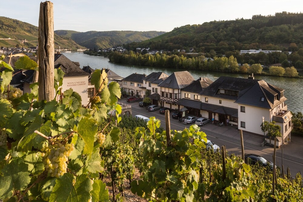 Zell an der Mosel - Hotel garni "Café im Hamm"