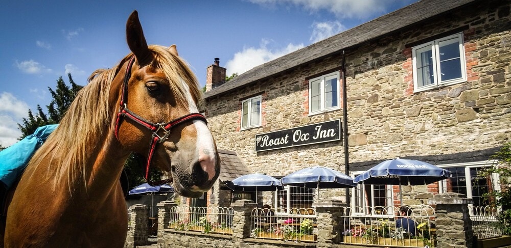 Hay-on-Wye - The Roast Ox Inn