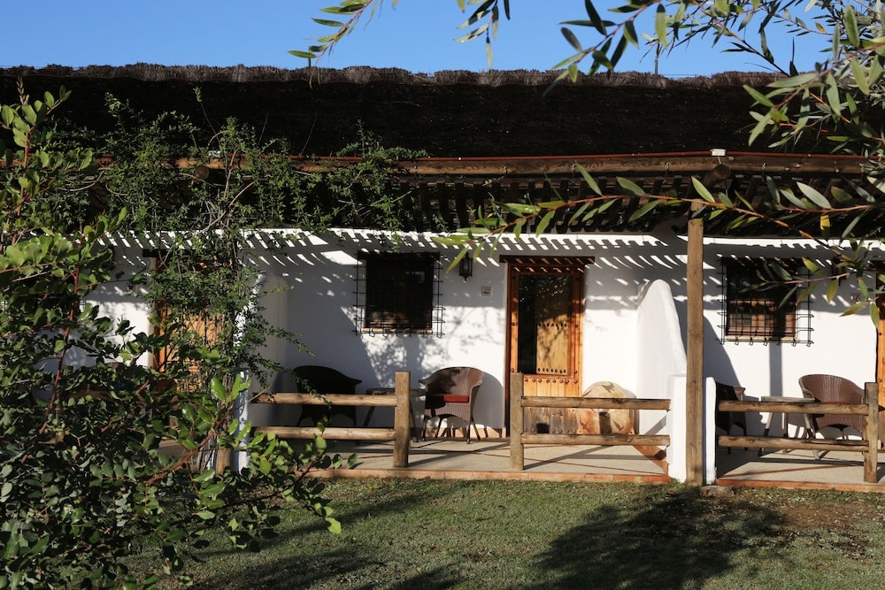 Villamanrique de la Condesa - Ardea Purpurea