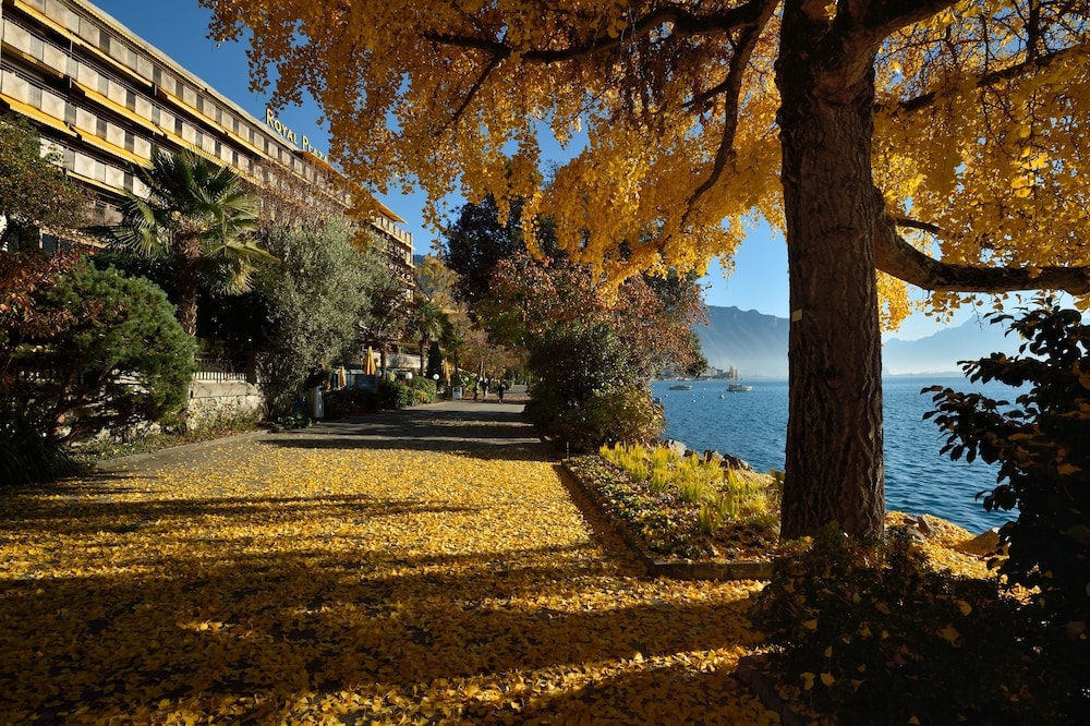 Montreux - Royal Plaza Montreux