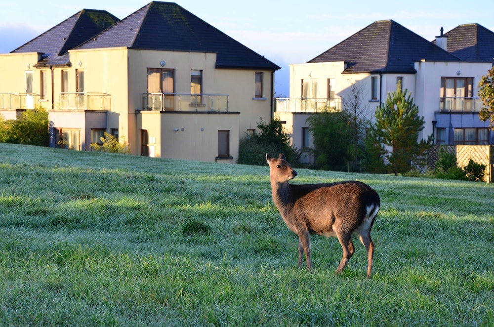 Waterford - Waterford Castle Hotel & Golf Resort