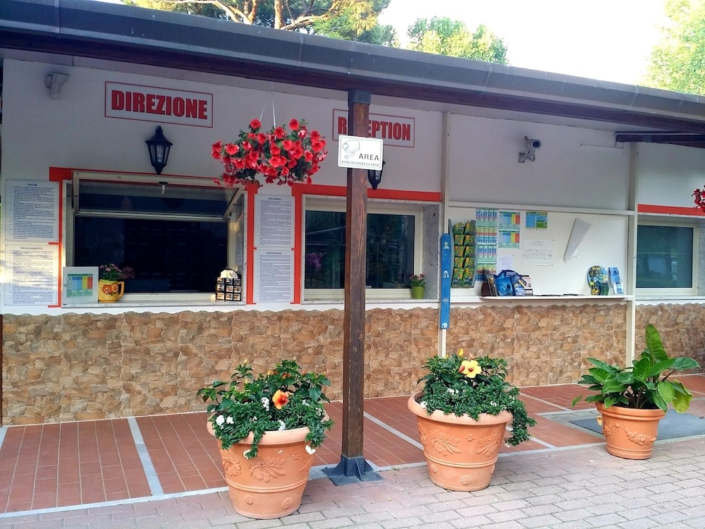 Marina di Massa - Camping Dal Pino