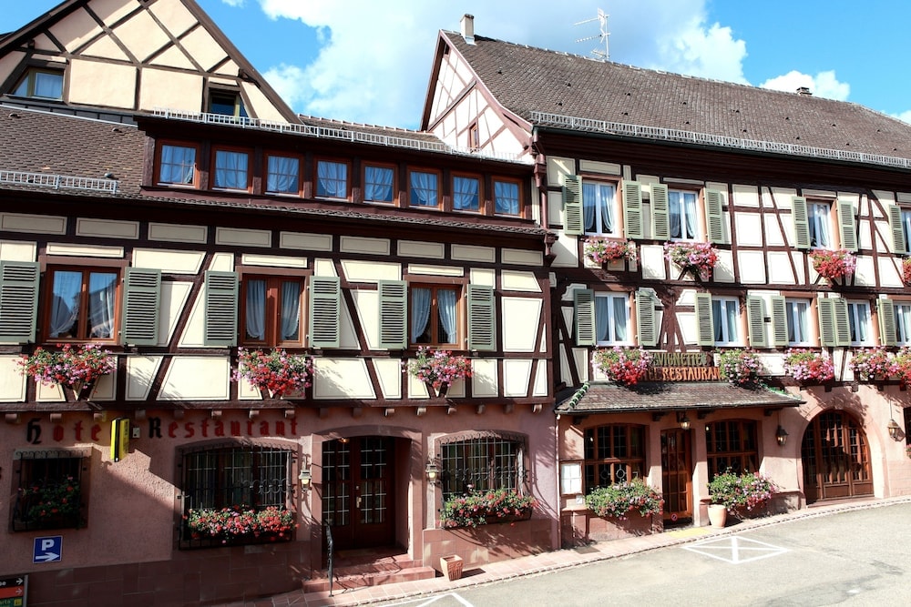 Ribeauvillé - Hôtel A la Vignette - COLMAR-NORD