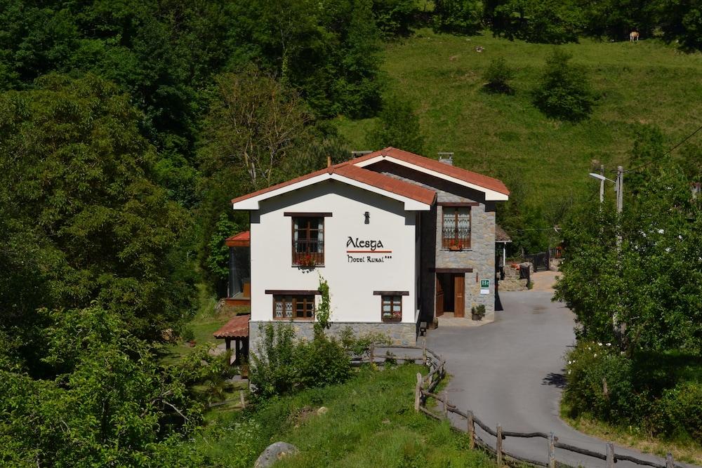 San Martín - Alesga Hotel Rural - Valles del Oso -Asturias
