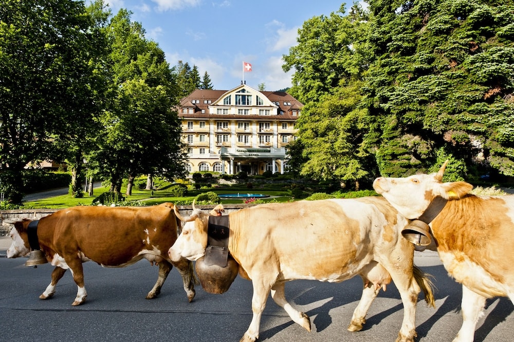 Gstaad - Le Grand Bellevue