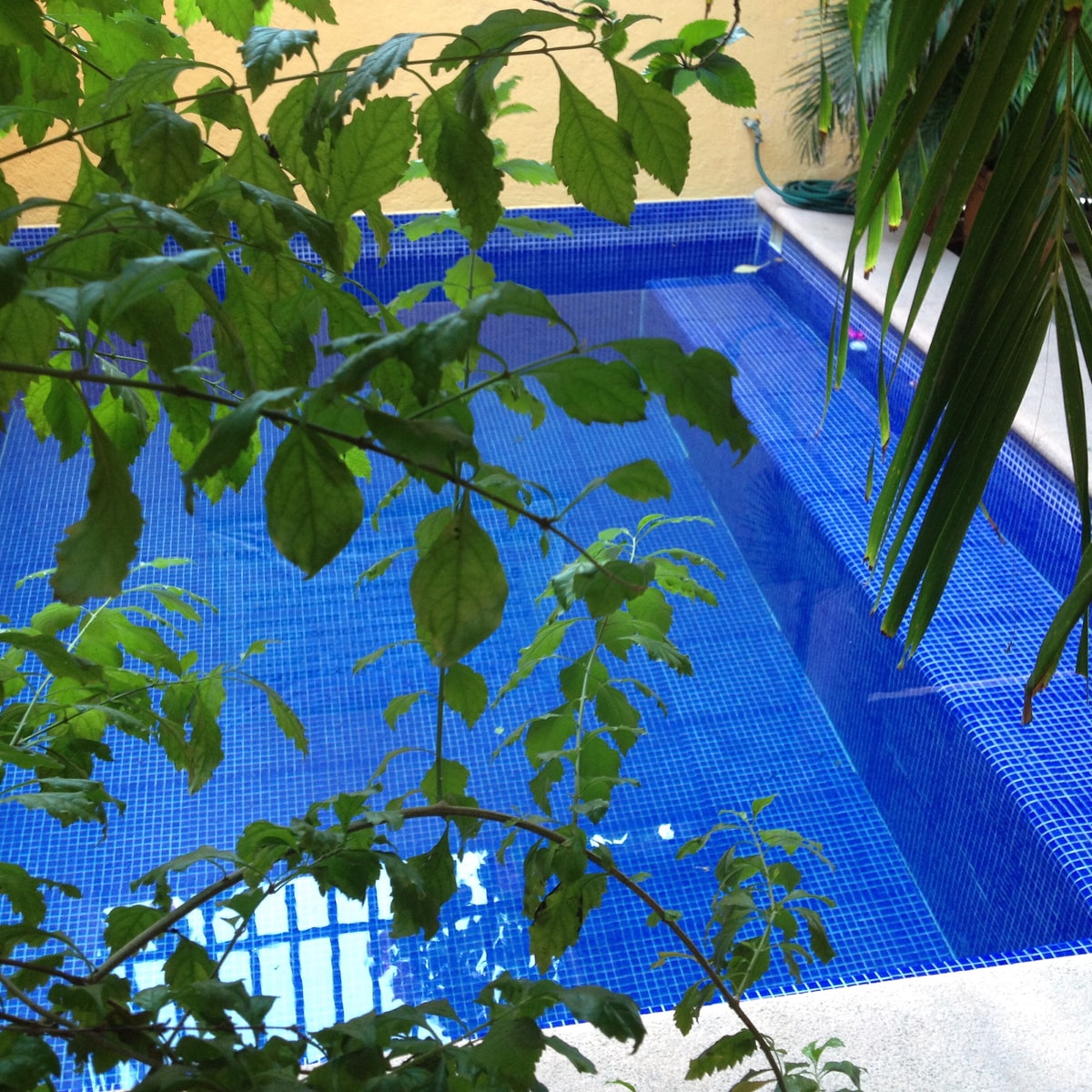Ixtapa - Hotel Las Salinas