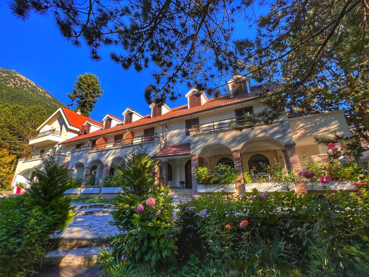 Palasë - ALPIN