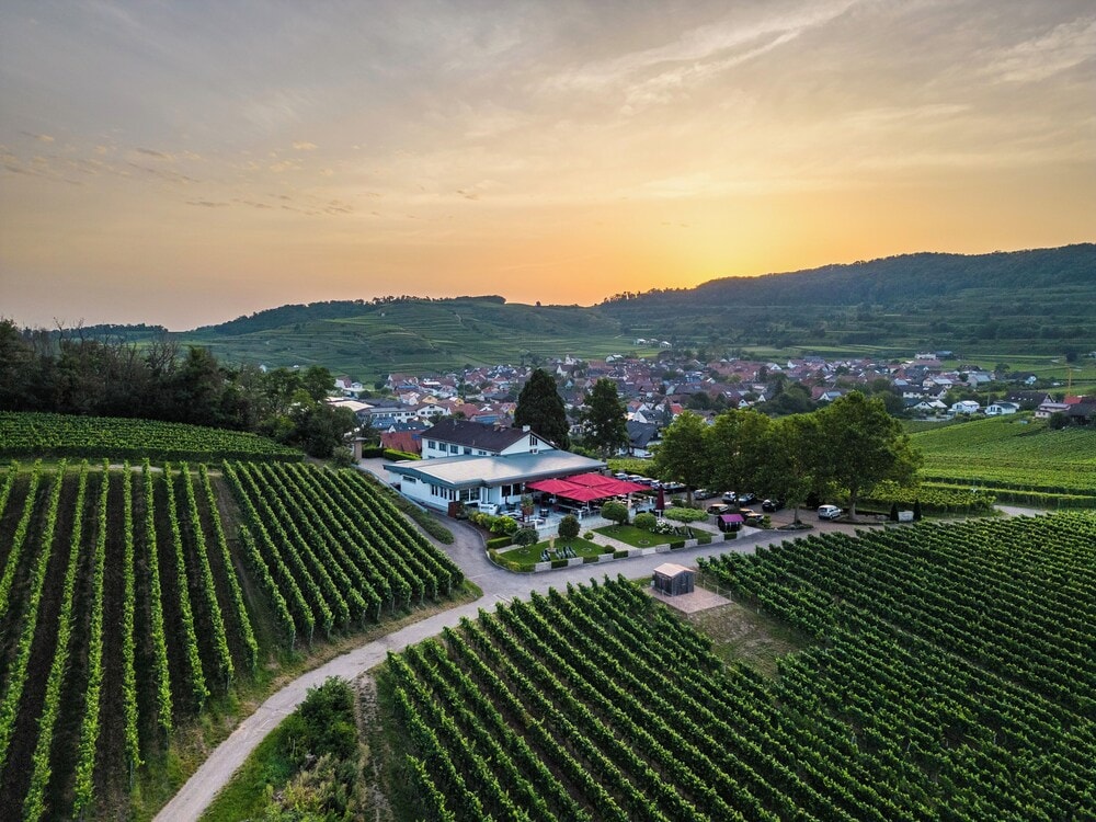 Breisach am Rhein - Köpfers Steinbuck