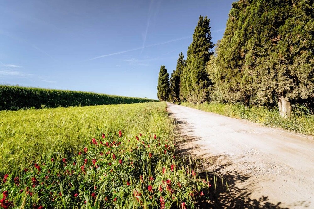 Grosseto - Agriturismo Bio San Mamiliano