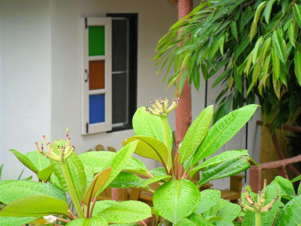 Khao Lak - Khaolak Banana Bungalow