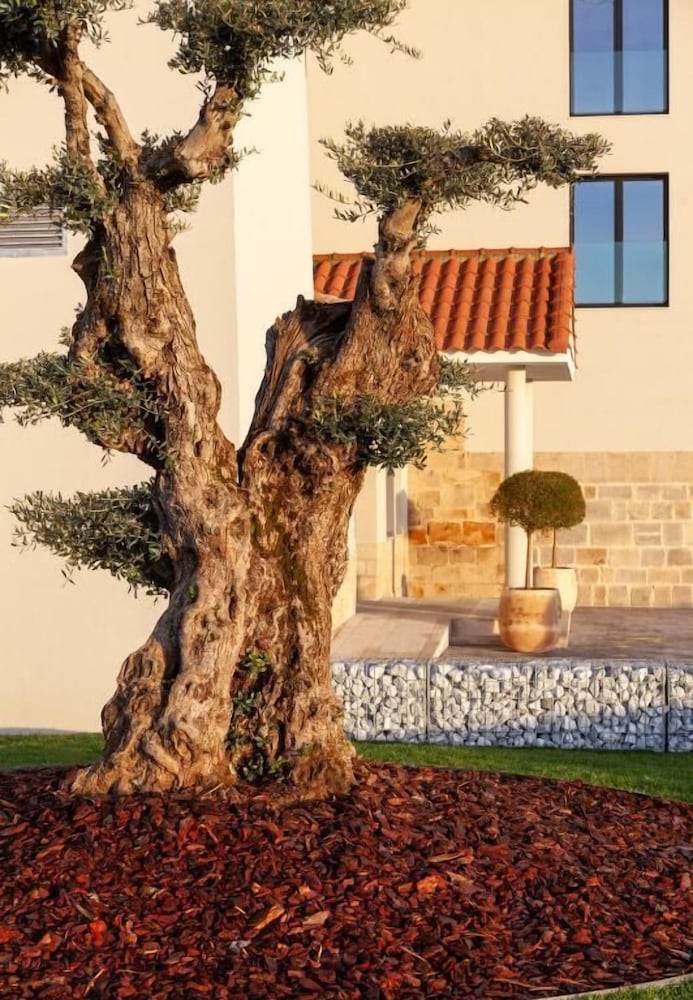 Miajadas - Finca la Desa