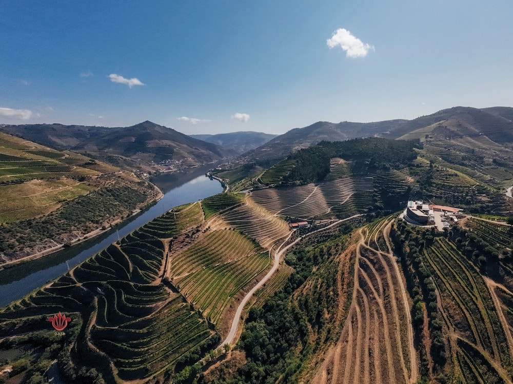 Peso da Régua - Barrilario Douro Wine Hotel e Spa - Quinta São Jose do Barrilario