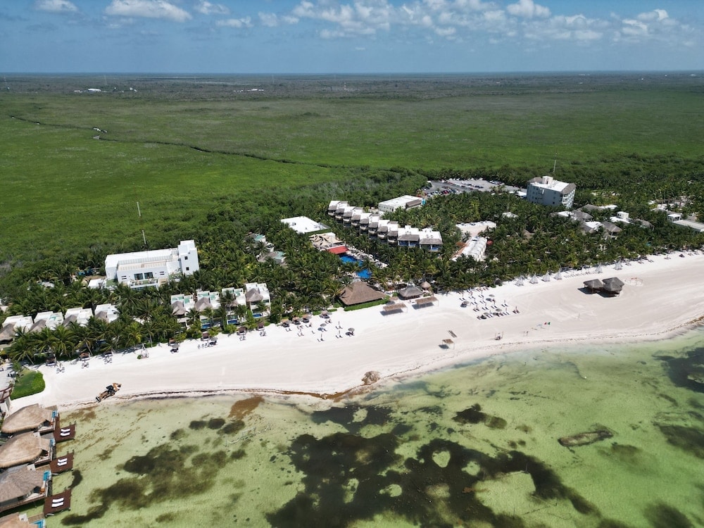 Lafitte - El Dorado Maroma, All & More Inclusive - Adults Only