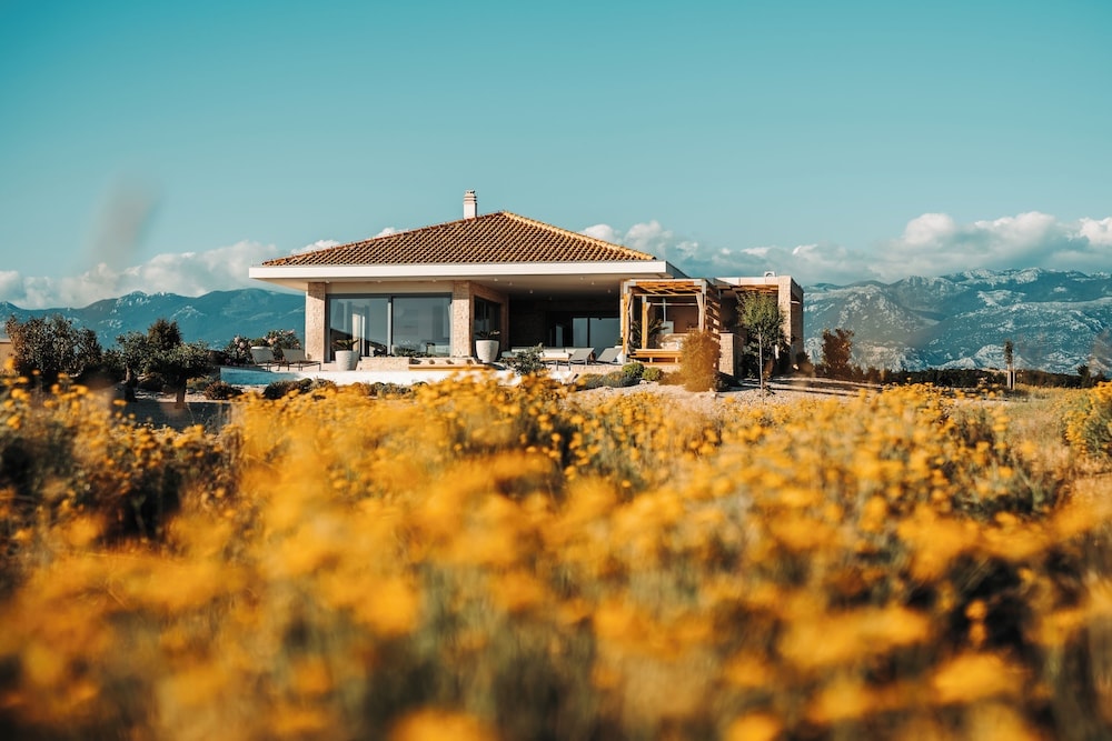 Novalja - Brioni - Plant Villas, with luxury service