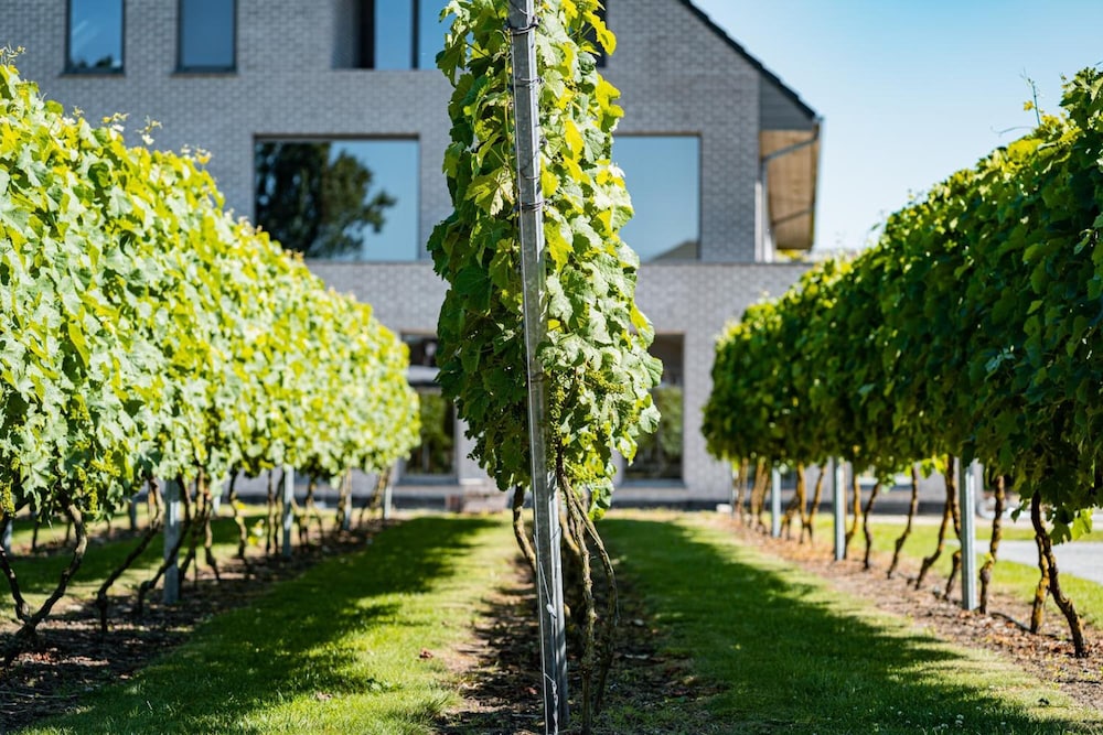 Dendermonde - Abalona Hotel & Apartments
