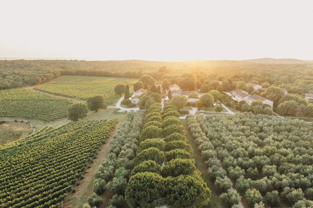 Bale - Meneghetti Wine Hotel and Winery - Relais & Chateaux