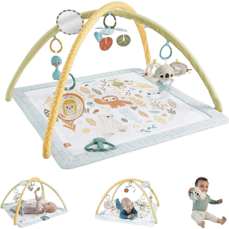 Fisher Price Simply Senses Newborn Gym