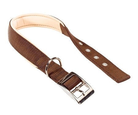 Ferplast Daytona hundhalsband - Brun