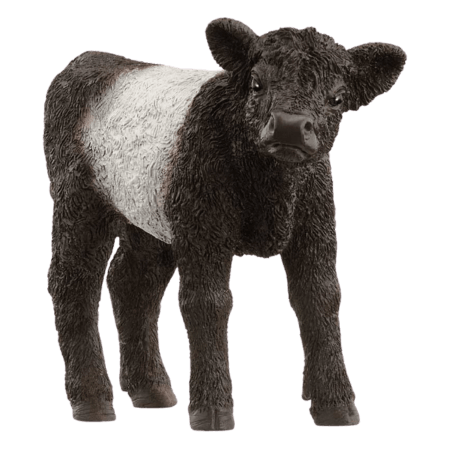 Schleich Galloway Kalv Figur