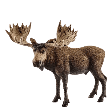 Schleich Älg Tjur Figur